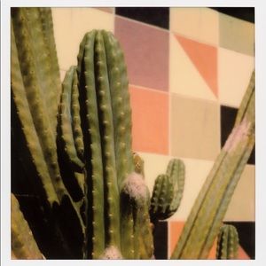 Meet your Posher, Indigo